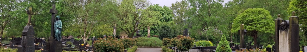 Groene kerk Petrus Basiliek