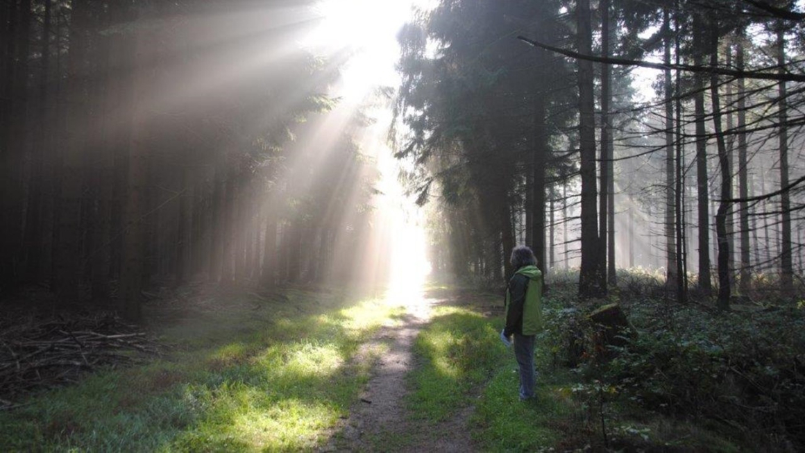 Het licht dat ons aanstoot in de morgen, nodigt mij uit om me over te geven aan de nieuwe dag, met nieuwe hoop dat alles zal zwichten en verwaaien wat op het licht niet is geijkt.