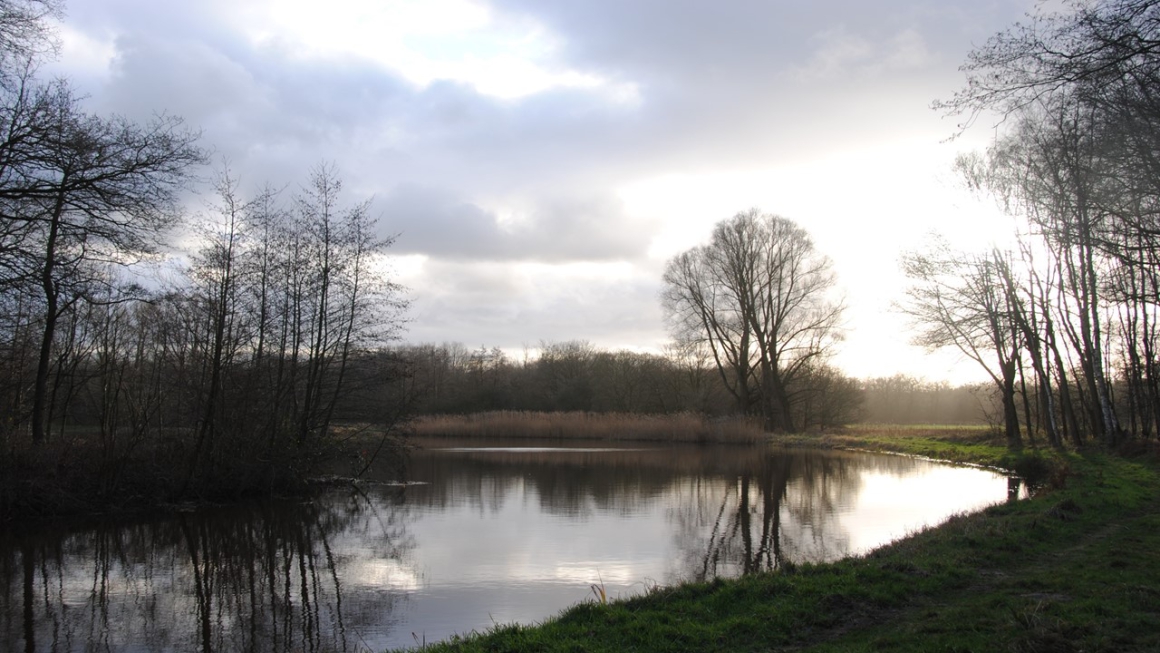 Tussen de ru&iuml;nes van oorlogen en geweld, ontluikt altijd en overal de bloem van Uw liefde, door het puin heen. 