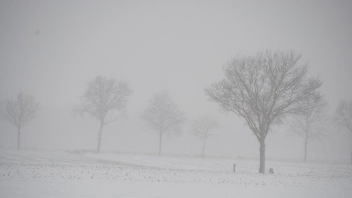 Open waakzaamheid. Klaar om te ontvangen, niet krampachtig zoekend, maar je laten verrassen, open voor het onverwachte, bewust open voor wat komt.