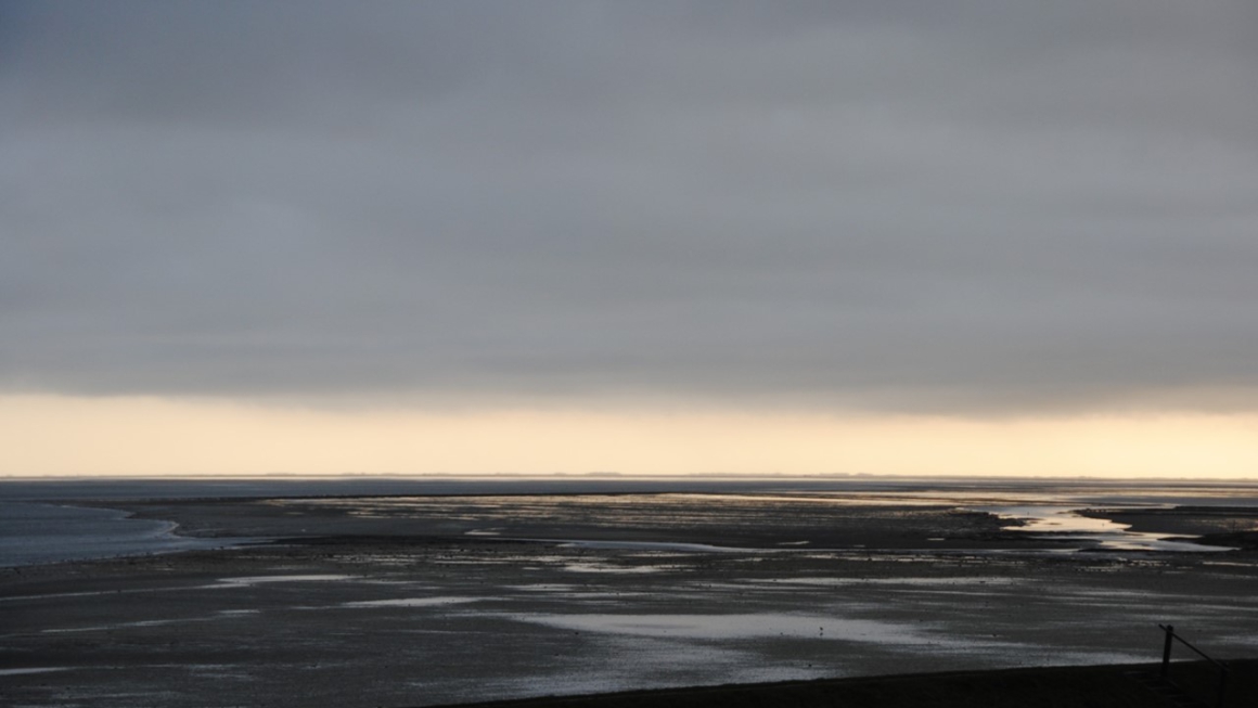 Wie in de nacht waken en het licht dragen: hun vurig verlangen wekt de dageraad.