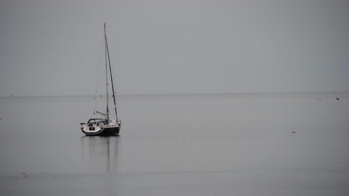 Zijn onze ogen blind geworden. Hebben we de deuren van ons hart gesloten….? Open, zie en voel….