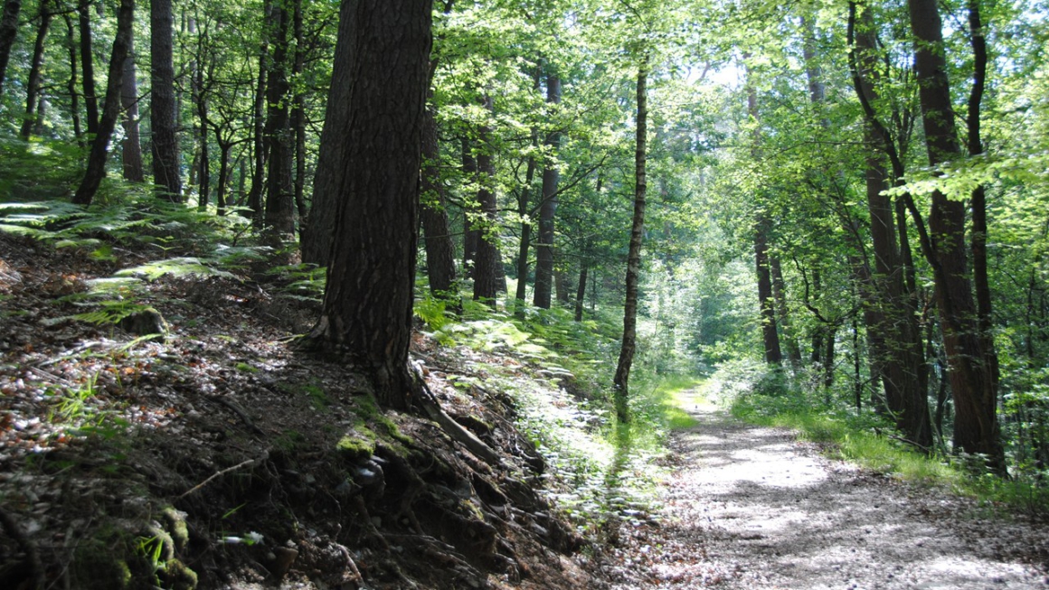 Ommekeer: de westerse mens moet eerst het materiële vergaren om dan te kunnen doorgronden dat het geen blijvend geluk schenkt.