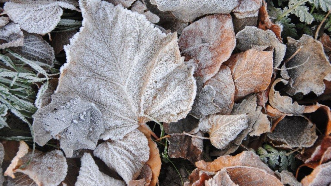 Niet onnadenkend en onwetend voorbijgaan aan de zorg en het leed van anderen, maar als waakzame mensen, ons adventsgeloof laten zien in tekenen van hoop die wij, mensen,  elkaar aanreiken.