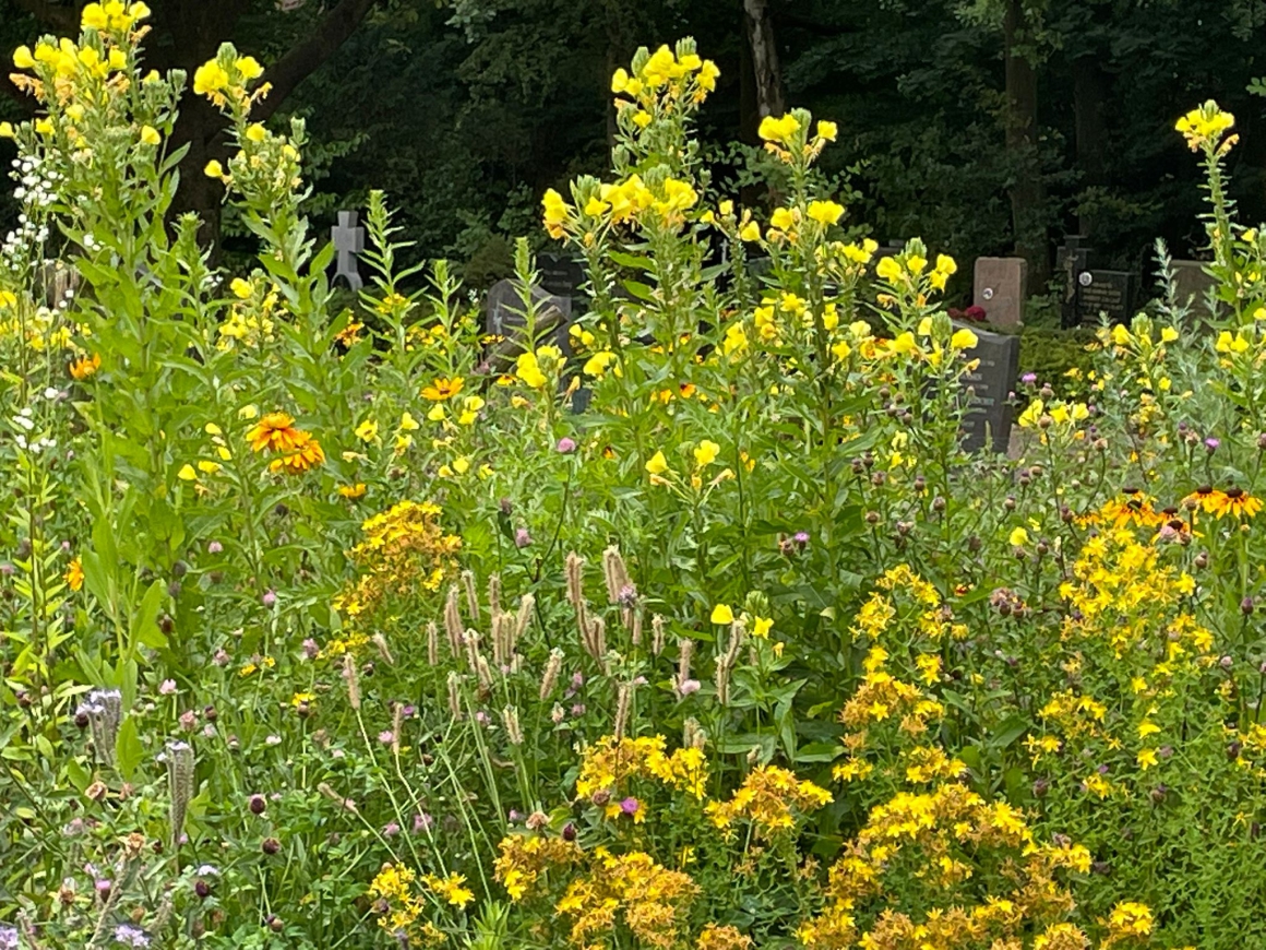 We leggen bloementuintjes en waterpartijen aan voor vogels, insecten en de andere dieren, en voor nabestaanden om te mijmeren
